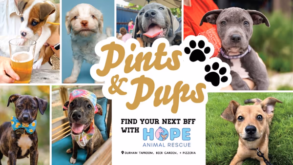 Pints and Pups photo 2